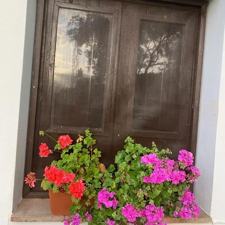 Holiday home La Portilla