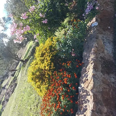 Сasa de vacaciones La Portilla *
